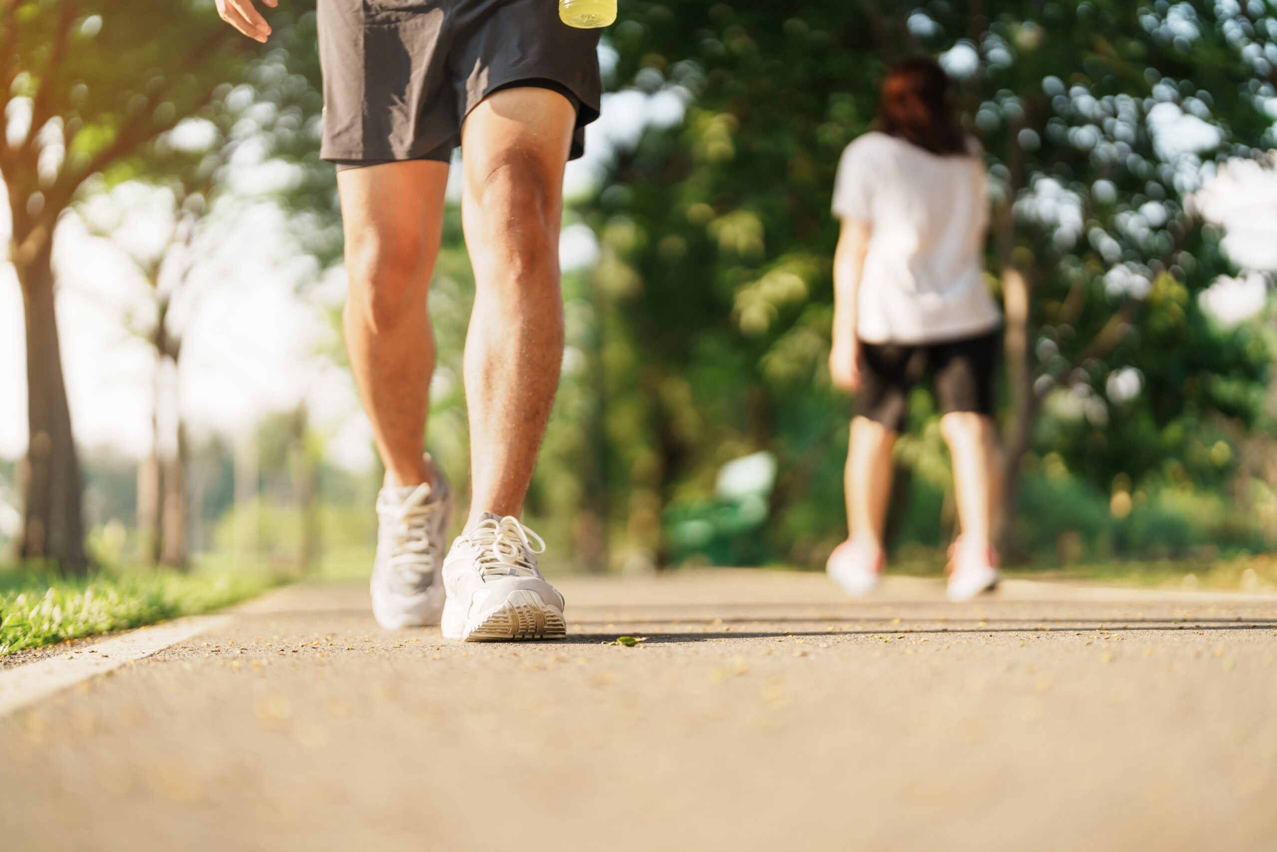 Heart Smart: Your Guide to Cardiovascular Wellness